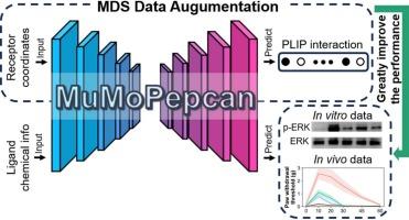 Multimodal profiling of Pepcan-CB1 receptor structure-activity relationships: integrating molecular dynamics simulations, biological profiling, and the deep learning model MuMoPepcan