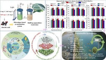 Effect of abscisic acid concentration on nutrient and antibiotics removal performance by different microalgae-based system treating bullfrog aquaculture wastewater