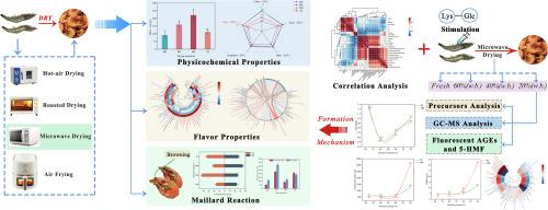 Study on the correlation and formation mechanism of flavor compounds and Maillard reaction products during the drying process of Litopenaeus vannamei