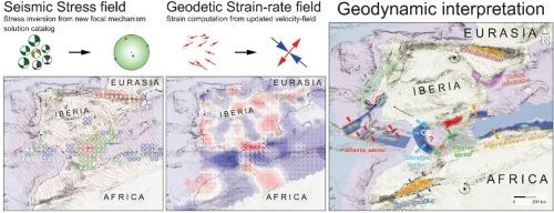 New insights on active geodynamics of Iberia and Northwestern Africa from seismic stress and geodetic strain-rate fields