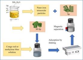 Efficient dye adsorption by water-based magnetic fluid-Spirulina platensis hybrid: synthesis and application