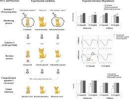 Developmental differences in L1 and L2 text comprehension: An ERP study