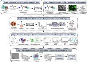 Neuroactive phytochemicals from hawthorn: Preliminary evidence for malic acid and chlorogenic acid as 5-HTR1A ligands with antidepressant potential
