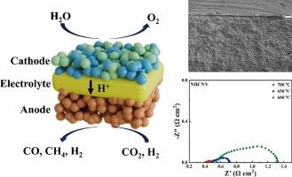 NdBaCo1.8Nb0.1Y0.1O5+δ as an efficient and durable air electrode for protonic ceramic electrolysis cells