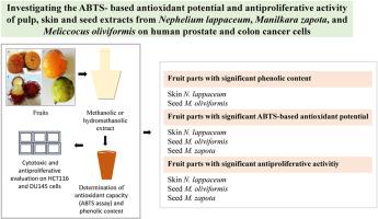 Investigating the ABTS-based antioxidant potential and antiproliferative activity of pulp, skin and seeds extracts from Nephelium lappaceum, Manilkara zapota, and Meliccocus oliviformis on human prostate and colon cancer cells
