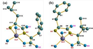 Physicochemical properties and anticancer activity of copper complexes [Cu(L-Leu-L-Phe)] and [Cu(L-Phe-L-Leu)]