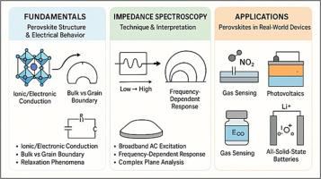 Impedance spectroscopy in perovskite materials: From fundamentals to applications