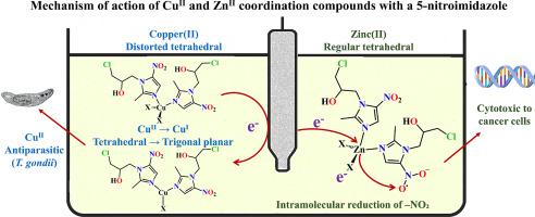Contribution of copper(II) and zinc(II) to the electrochemical and biological properties of 5-nitroimidazole coordination compounds. An experimental and theoretical approach