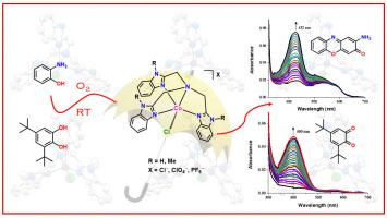 Design and reactivity of Tripodal Tetradentate mononuclear cobalt(II) complexes as biomimetic models for Phenoxazinone synthase and Catecholase activity