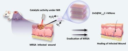 ZnO@MXene nanoplatform for near infrared induced elimination of drug resistant bacteria and Acceleration of infected wound healing