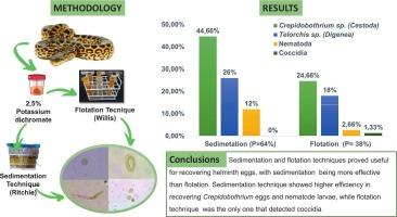 Endoparasites in yellow anaconda (Eunectes notaeus) in the wild through coproparasitological tools