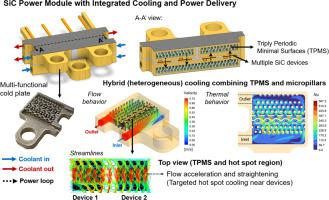 Unlocking the Potential of Integrated Cooling and Power Delivery in Multi-chip Power Electronics Packages with Triply Periodic Minimal Surfaces (TPMS)