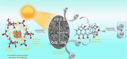 Tailored ZnO/CuS nanoarchitectures self-assembled in natural deep eutectic solvents for enhanced photocatalytic degradation of noxious water contaminants