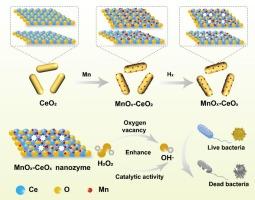 MnOx-CeOx symbiotic nanozyme with oxygen vacancy-enriched structure for enhanced antibacterial therapy