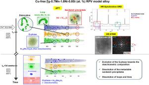 Mechanisms of radiation-induced G-phase precipitation in Fe-MnNiSi ferritic model alloys at 400 °C