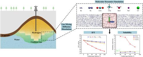 Molecular dynamics insights into interfacial tension and solubility of hydrogen-cushion gas-water systems for underground hydrogen storage