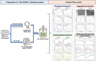 Amyloid-like fibrils accelerate pre-cooked gluten depolymerization during freeze-thaw cycles