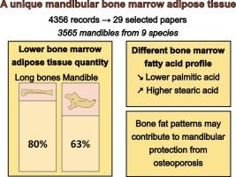 The forgotten fat: A systematic review of mandibular adipose content