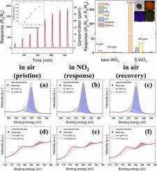 Non−noble metal catalyst embedded WO3 microspheres for enhancement of NO2 gas sensing