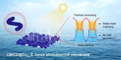 Seamlessly integrated flexible Janus membranes enabling water-heat-salt synergy for solar desalination and wastewater treatment