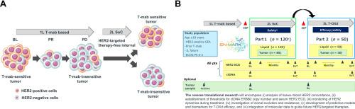 Multicenter prospective EN-MARK study: efficacy of third-line trastuzumab deruxtecan and dynamic changes in biomarkers, including HER2 status