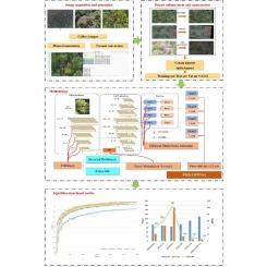 PWD-lightweight and feature fusion network for multi-stage joint detection of pine wilt disease