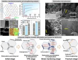 Interface-dominated strengthening, deformation and electrical transport behaviors of Cu nanocomposites rendered by nitrogen-doped carbon nanotubes