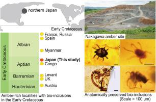 A new amber Lagerstätte from the Lower Cretaceous of Japan