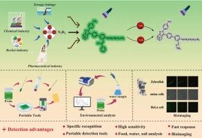 A novel biphenyl tetrahydroindazole-type fluorescent probe for the detection of hydrazine and its applications in food detection, environmental analysis and biological imaging
