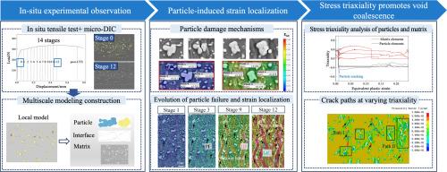 In situ study of micro-damage evolution in 2195 aluminum alloy