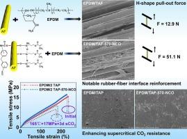 Enhancing supercritical CO2 immersion resistance of aramid pulp-filled ethylene propylene diene monomer rubber composites through reinforced interfacial bonding