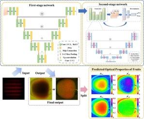 A UNet-GAN two-stage network for rapid and accurate prediction of apple optical properties from single multi-frequency images
