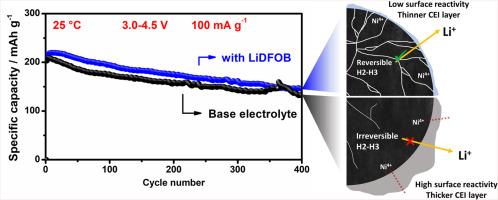 Tailoring interfacial stability with lithium salt additives for long-cycling Ni-rich cathodes in lithium metal batteries