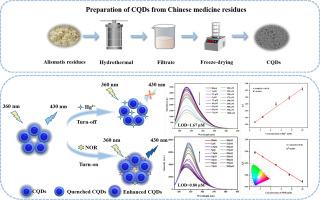 Environmentally friendly carbon quantum dots: A turn-off/turn-on probe for metal ions and norfloxacin