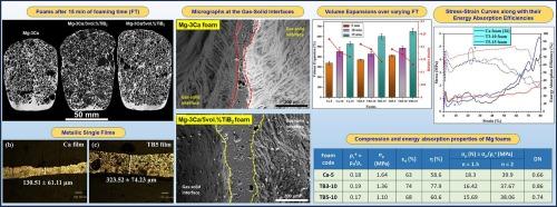 Foam stabilization of Mg-3Ca alloys using TiB2 particles