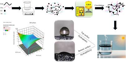 Electron beam crosslinked PVA/PAM/GO/SA hydrogel for high-efficiency solar desalination: Synergistic design and performance optimization