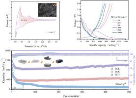 Lasagne-like Bi2O3/Bi dual-carbon composites for high-capacity and long-life lithium storage