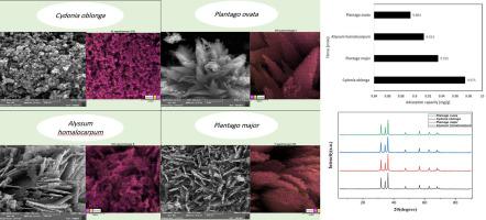 Bio-templated green synthesis of ZnO nanostructures using herbal seed Mucilages: A sustainable route for dye adsorption