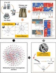 Lactiplantibacillus plantarum-based inoculated fermentation of Guiyang sour rice-noodles improved its flavor quality