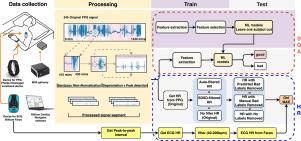 Assessing the impact of signal quality on heart rate detection from long-term clinical wrist PPG under varying cardiac rhythms
