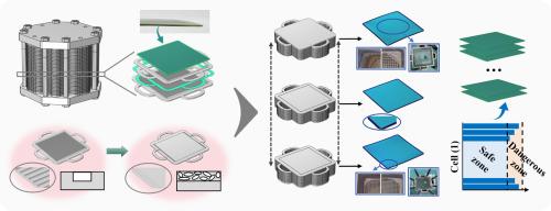 Solid oxide cell stack operating parameter optimization considering various stresses