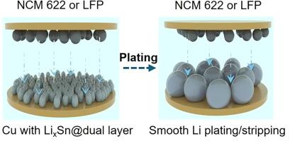 Galvanostatic deposition of lithiophilic nanosized LixSn nucleation sides and inorganic-rich@polymer dual layer for anode-free lithium metal batteries