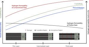 Microstructure-driven hydrogen permeability in thin-ply thermoplastic composites: Insights for Type V storage tanks