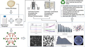 Synergistic effects of sonication duration and calcination temperature on the structural, physicochemical and bioactivity of biogenic nano-hydroxyapatite from scallop shells for bone repair applications