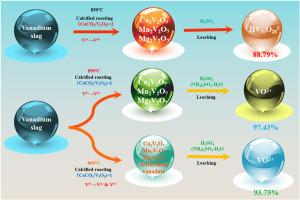 Cleaner and efficient vanadium extraction from vanadium slag: optimal adaptation mechanism between calcification roasting and reductive leaching processes