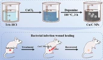 Phenolic-enriched Cu/C nanoparticles for enhanced wound healing via ROS generation and photothermal ablation of bacterial infections