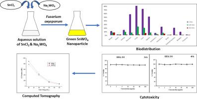 Highly fluorescent sustainable SnWO4 nanoparticles as contrast agent for computed tomography (CT)