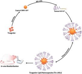 Ticagrelor-loaded lipid nanocapsules as a promising nebulizable system for lung cancer: in-vitro characterization, 131I radiolabeling and in-vivo biodistribution