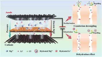 Electro-assisted functional nanofiltration membrane for enhancing Li+ enrichment and Li+/Mg2+ separation