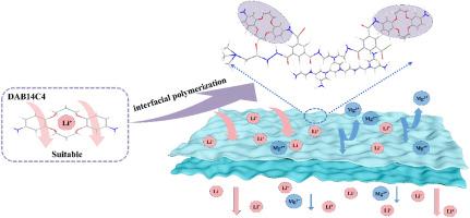 Synergistic integration of crown ether and Girard's reagent T in nanofiltration membranes for high-efficiency lithium extraction from salt lake brine